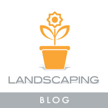 -Landscaping- Le damos vida a tu entorno